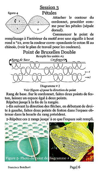 Dentelle à l’aiguille Orchidée Cattleya