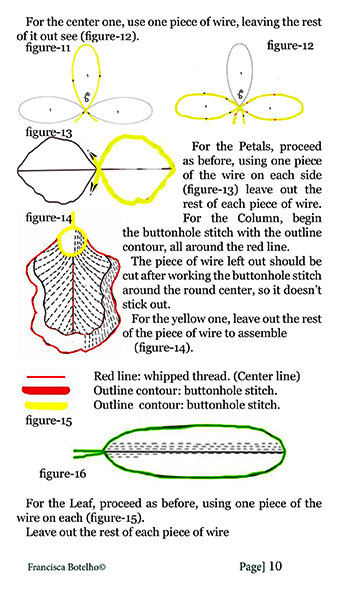 Needle lace Cattleya orchid   
