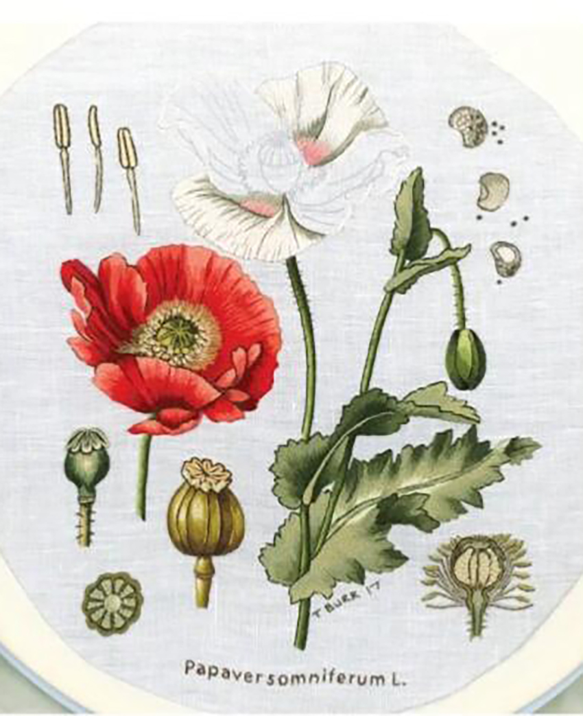 Le grand livre des fleurs brodées