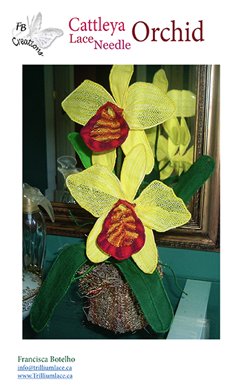 Needle lace Cattleya orchid   