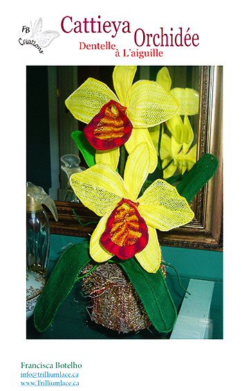 Dentelle à l’aiguille Orchidée Cattleya