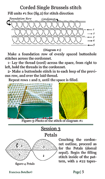 Needle lace Cattleya orchid   