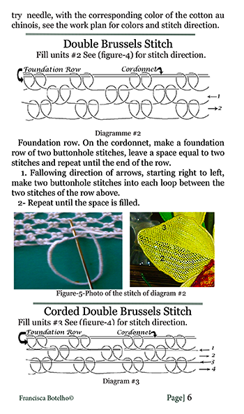 Needle lace Cattleya orchid   
