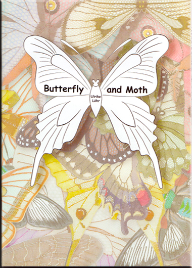 Butterflu And Moth